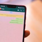 aplikasi spam chat wa